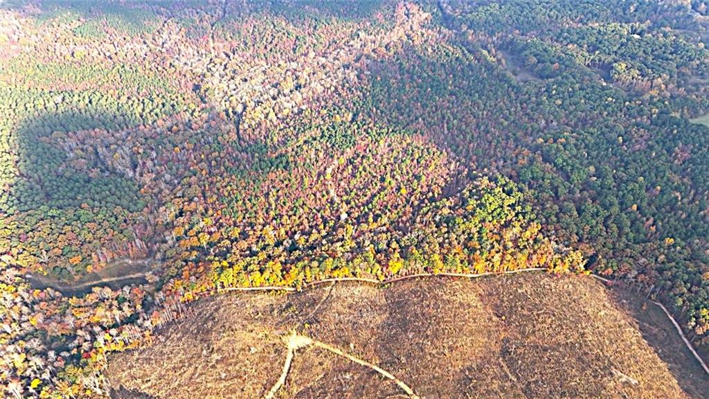 1 Poplar Springs Road Buchanan, GA 30113 - Photo 6 of 39