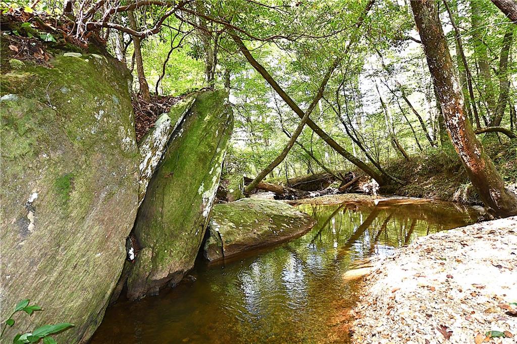 1 Poplar Springs Road Buchanan, GA 30113 - Photo 7 of 39 a view of an ocean with a large tree