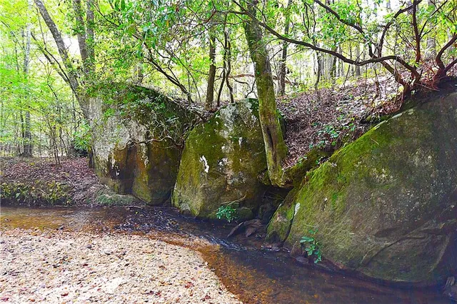 a view of swimming pool with a yard