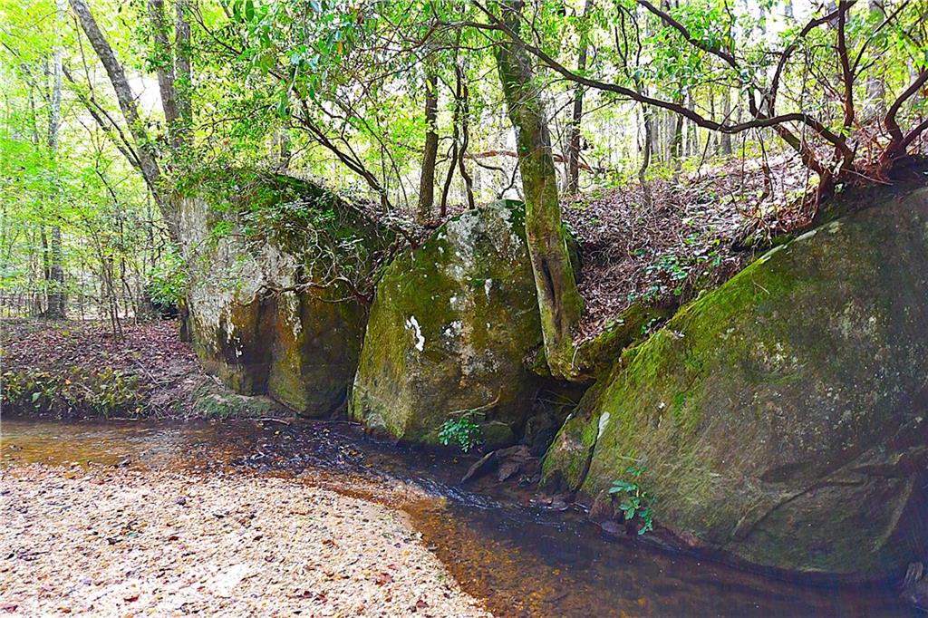 1 Poplar Springs Road Buchanan, GA 30113 - Photo 9 of 39 a backyard of a house with lots of green space