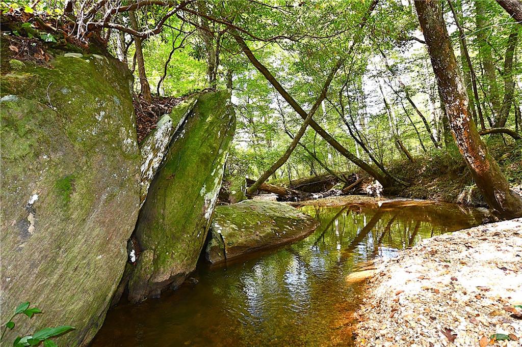 1 Poplar Springs Road Buchanan, GA 30113 - Photo 10 of 39 a view of an ocean with a large tree
