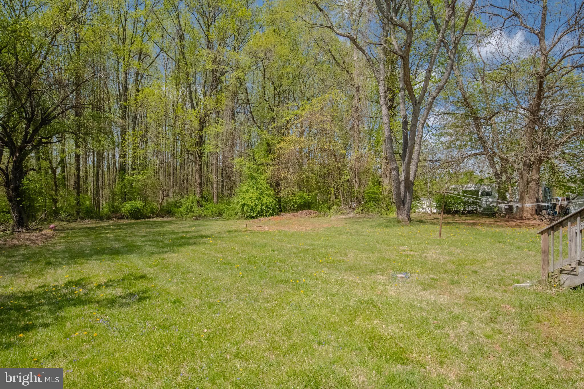 3118 Old Scarboro Road Street, MD 21154 - Photo 3 of 18 a view of a yard with trees