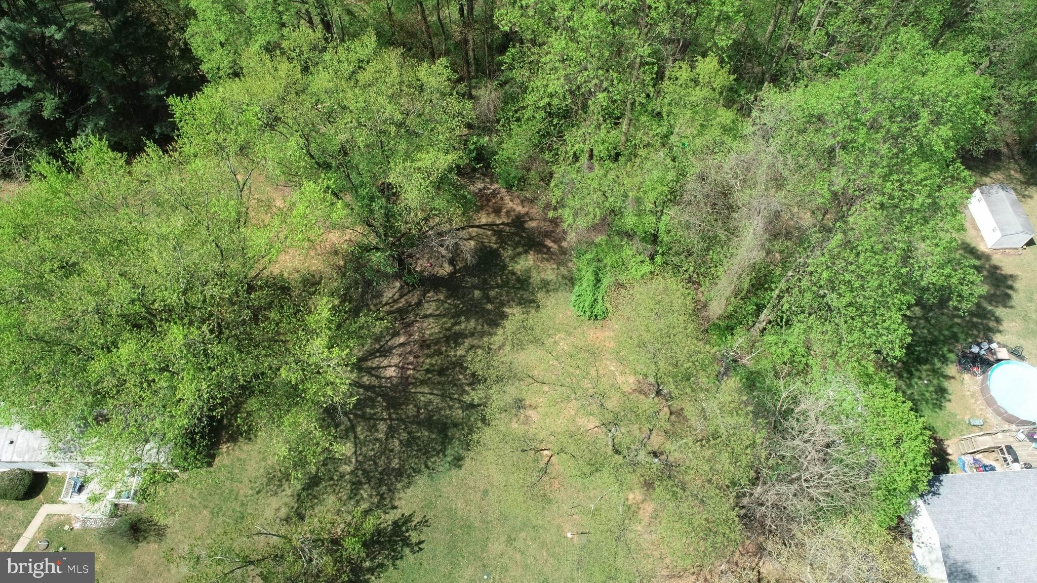 3118 Old Scarboro Road Street, MD 21154 - Photo 10 of 18 a view of a lush green forest