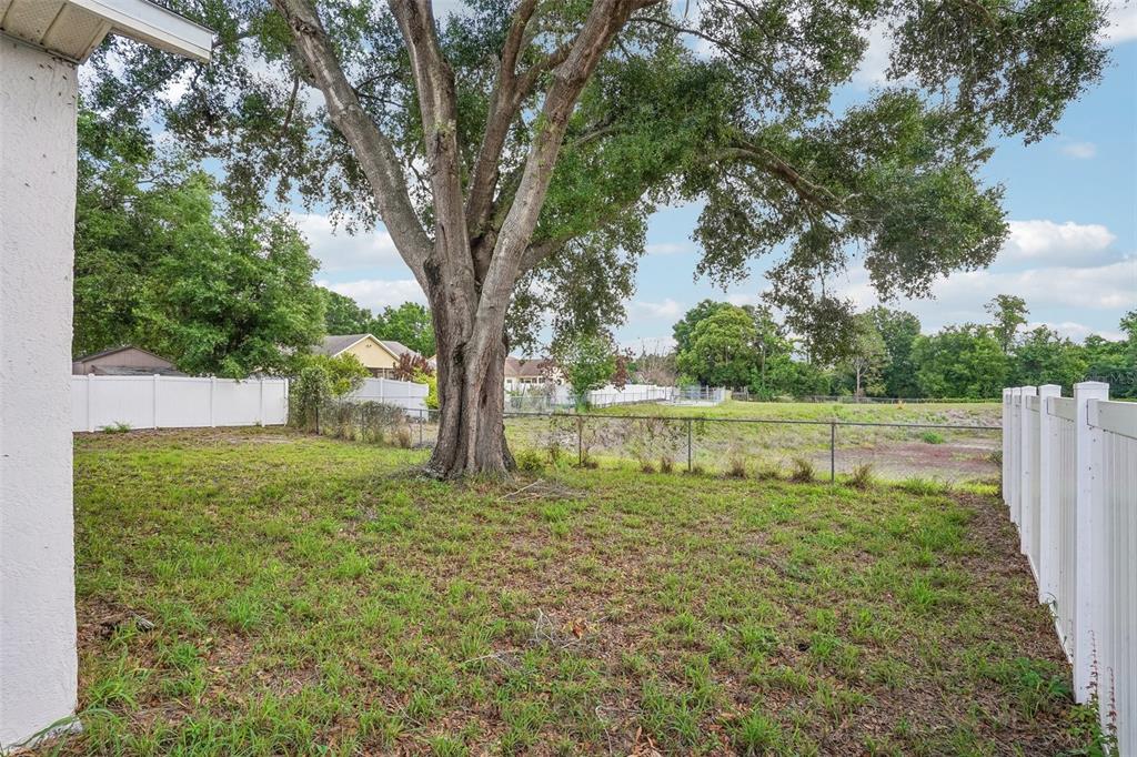 2596 Alclobe Circle Ocoee, FL 34761 - Photo 59 of 70 a view of a yard with large trees