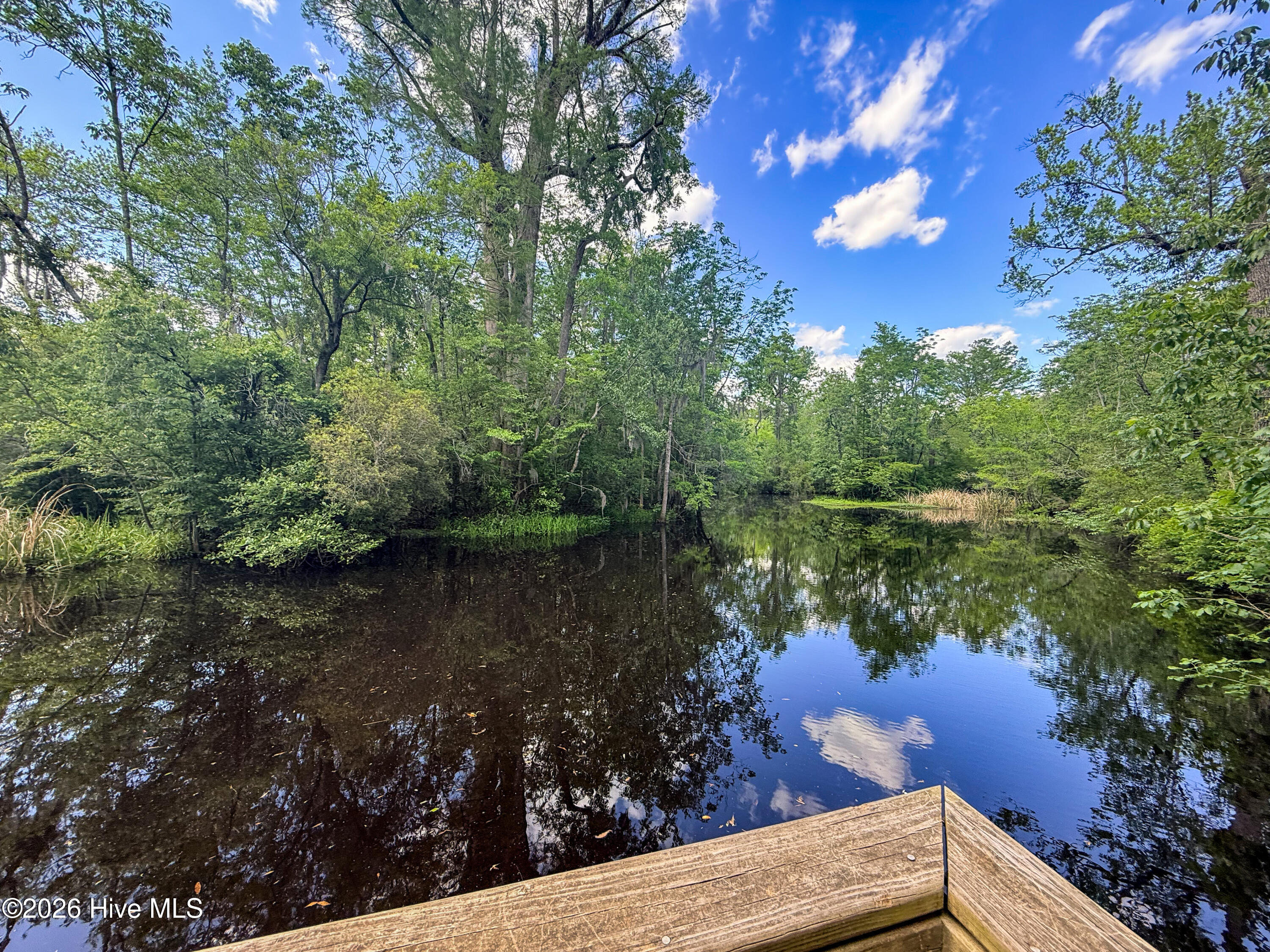 44 Strut Way Rocky Point, NC 28457 - Photo 101 of 107 River