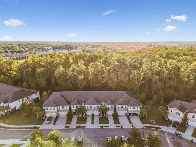 $349,300 | 17856 Althea Blue Place, Lutz, FL 33558