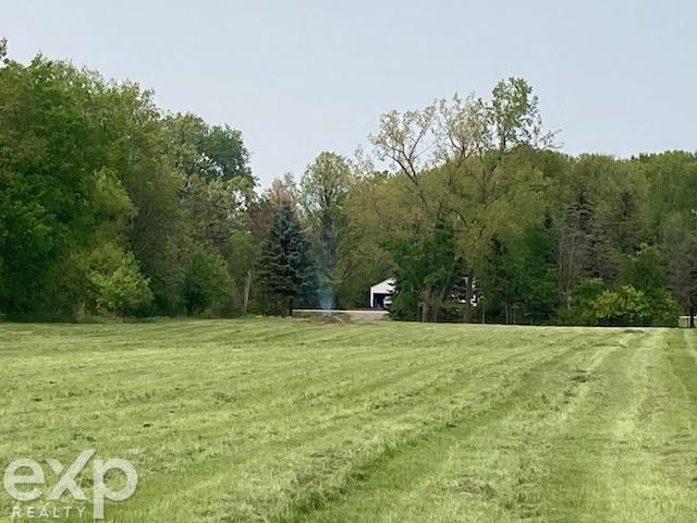 0 Walker Road North Street, MI 48049 - Photo 11 of 17