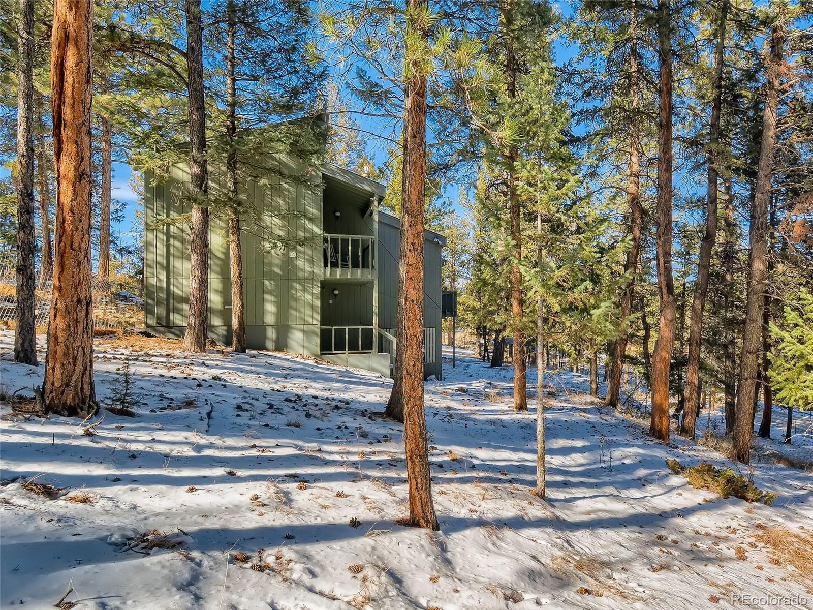 20 Long Ridge Drive Bailey, CO 80421 - Photo 12 of 25 a view of a house with street view