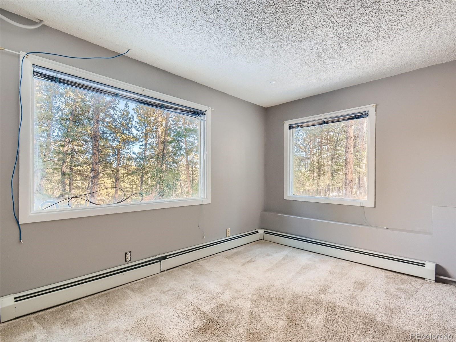20 Long Ridge Drive Bailey, CO 80421 - Photo 23 of 25 a view of a big room with windows