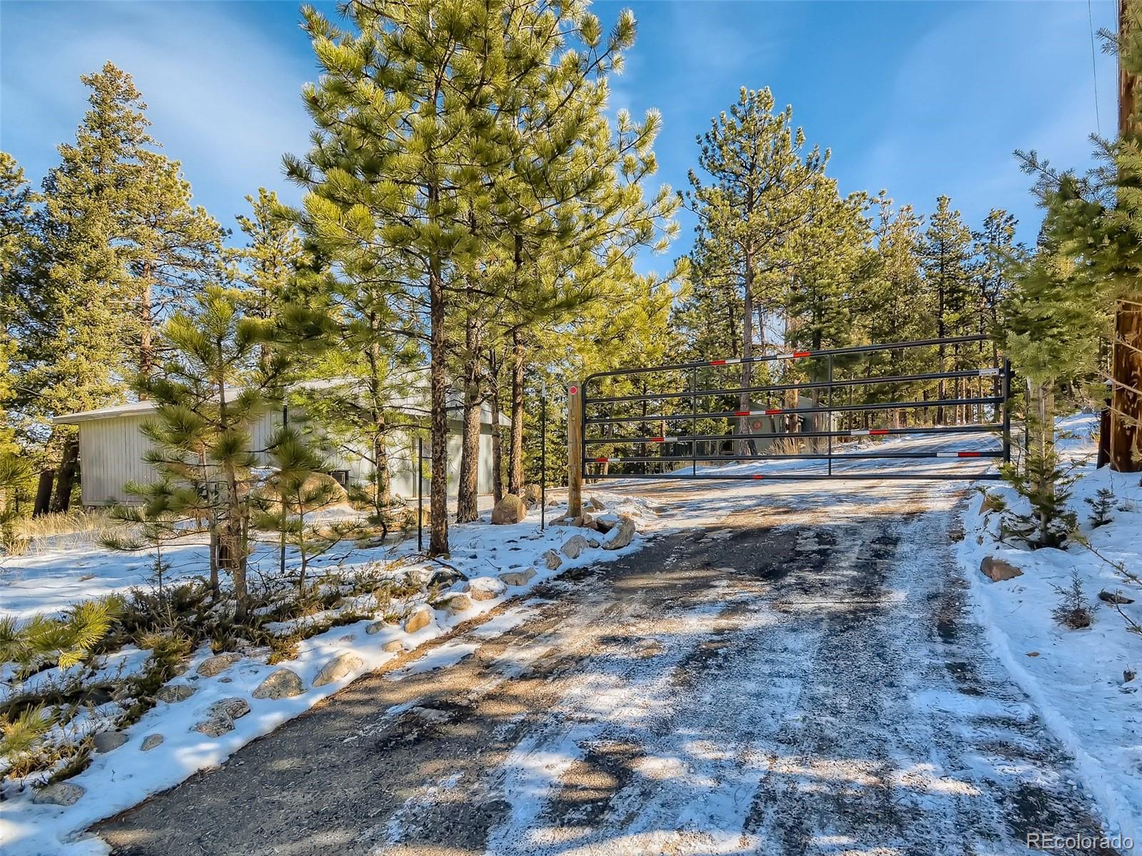 20 Long Ridge Drive Bailey, CO 80421 - Photo 6 of 25 a view of dirt yard with a large tree