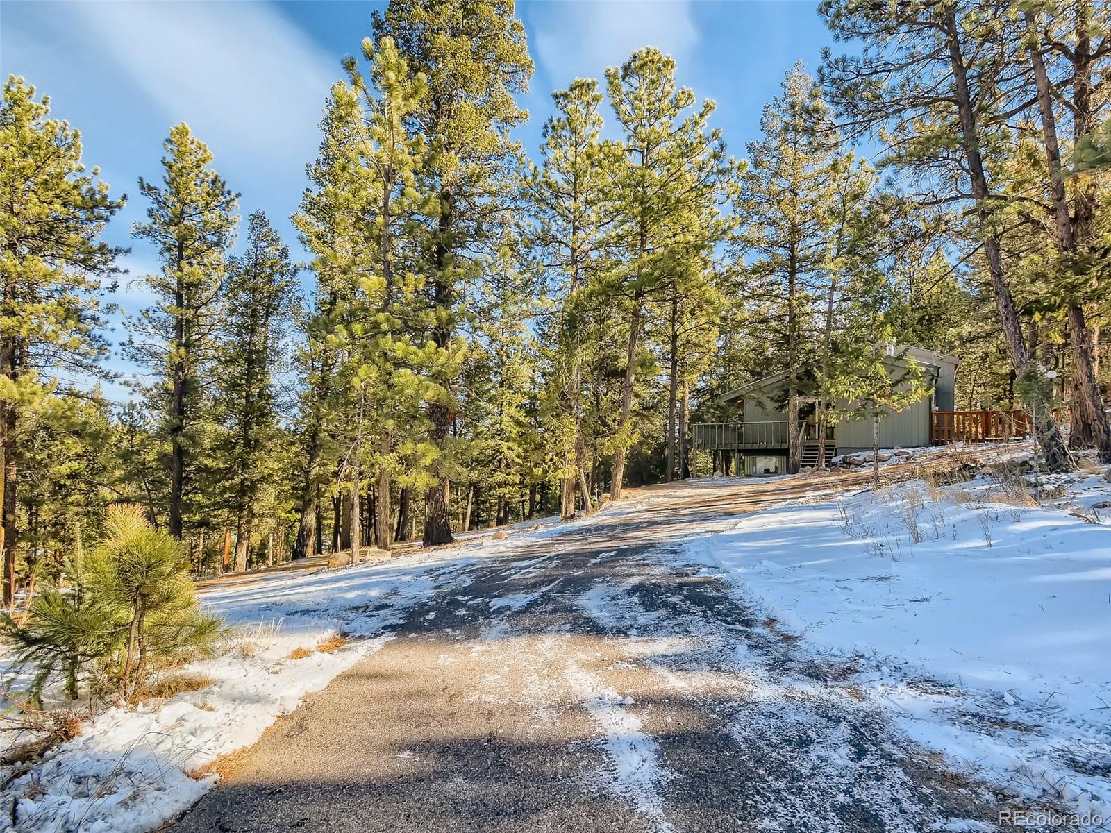 20 Long Ridge Drive Bailey, CO 80421 - Photo 7 of 25 a view of yard
