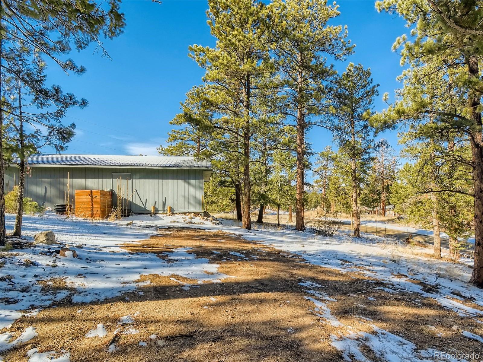 20 Long Ridge Drive Bailey, CO 80421 - Photo 10 of 25 a view of a house with a snow