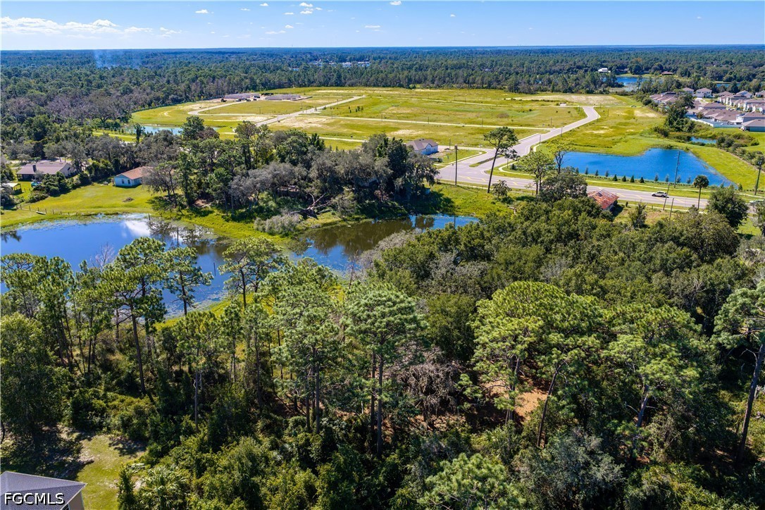 Doyle Rd Road Osteen, FL 32764 - Photo 30 of 33 Gallery Image 30