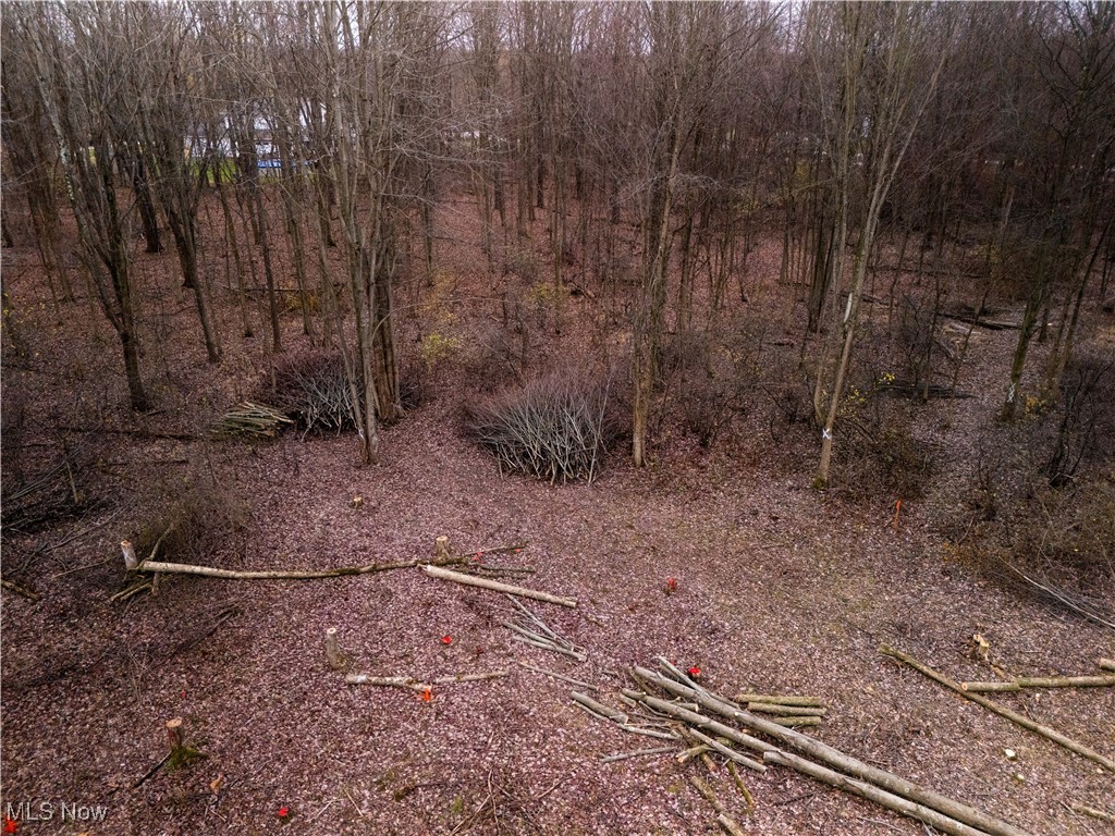 Chillicothe Road Chagrin Falls, OH 44023 - Photo 11 of 13 View of landscape