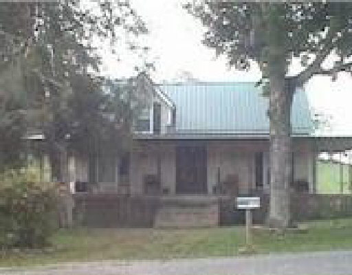 Primary Photo