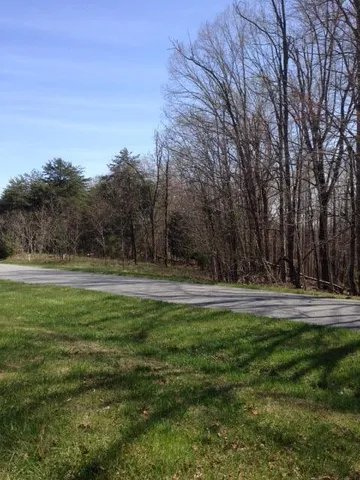 a view of a green yard