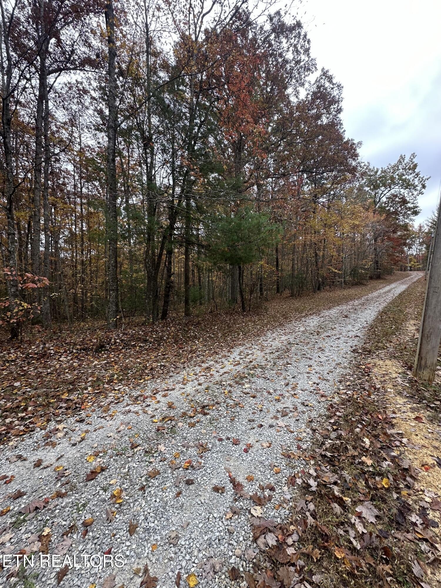 6 Wilderness Trail Oneida, TN 37841 - Photo 13 of 17