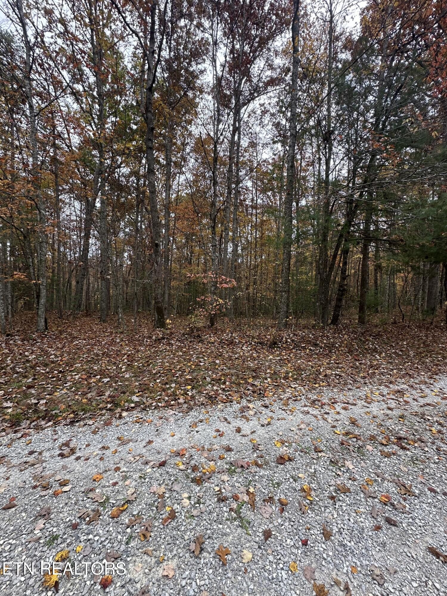 6 Wilderness Trail Oneida, TN 37841 - Photo 14 of 17