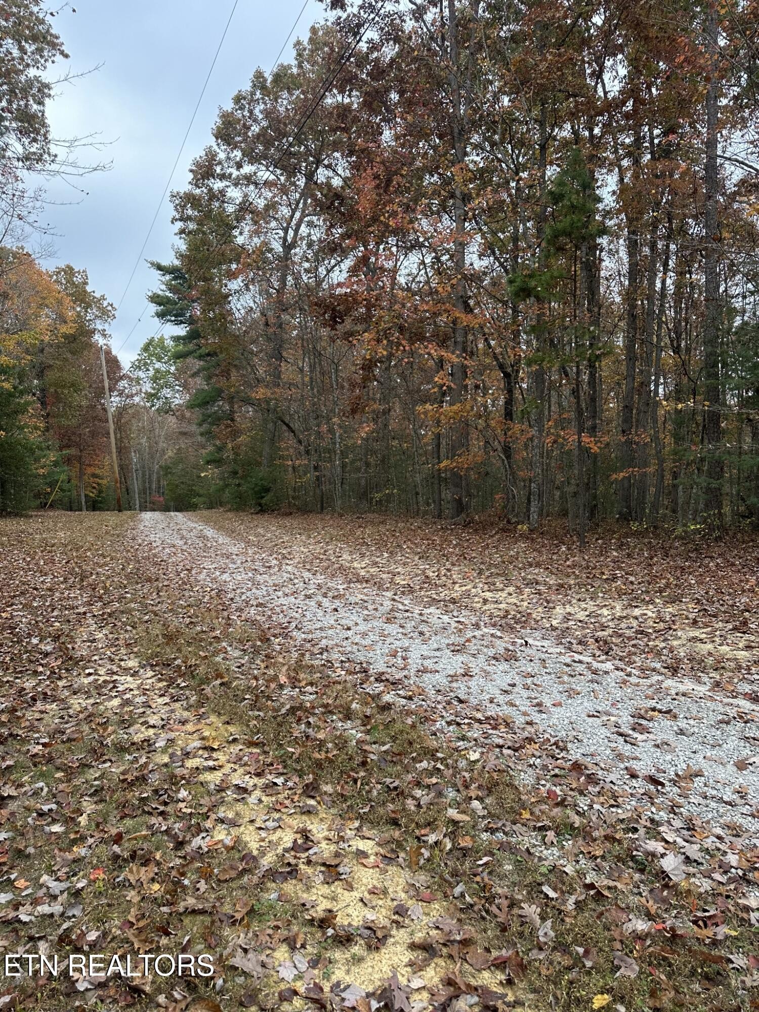 6 Wilderness Trail Oneida, TN 37841 - Photo 15 of 17