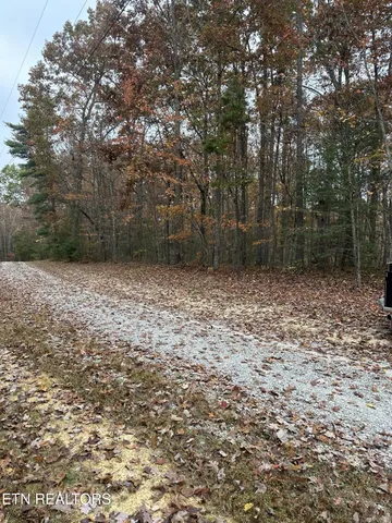 a view of outdoor space with trees