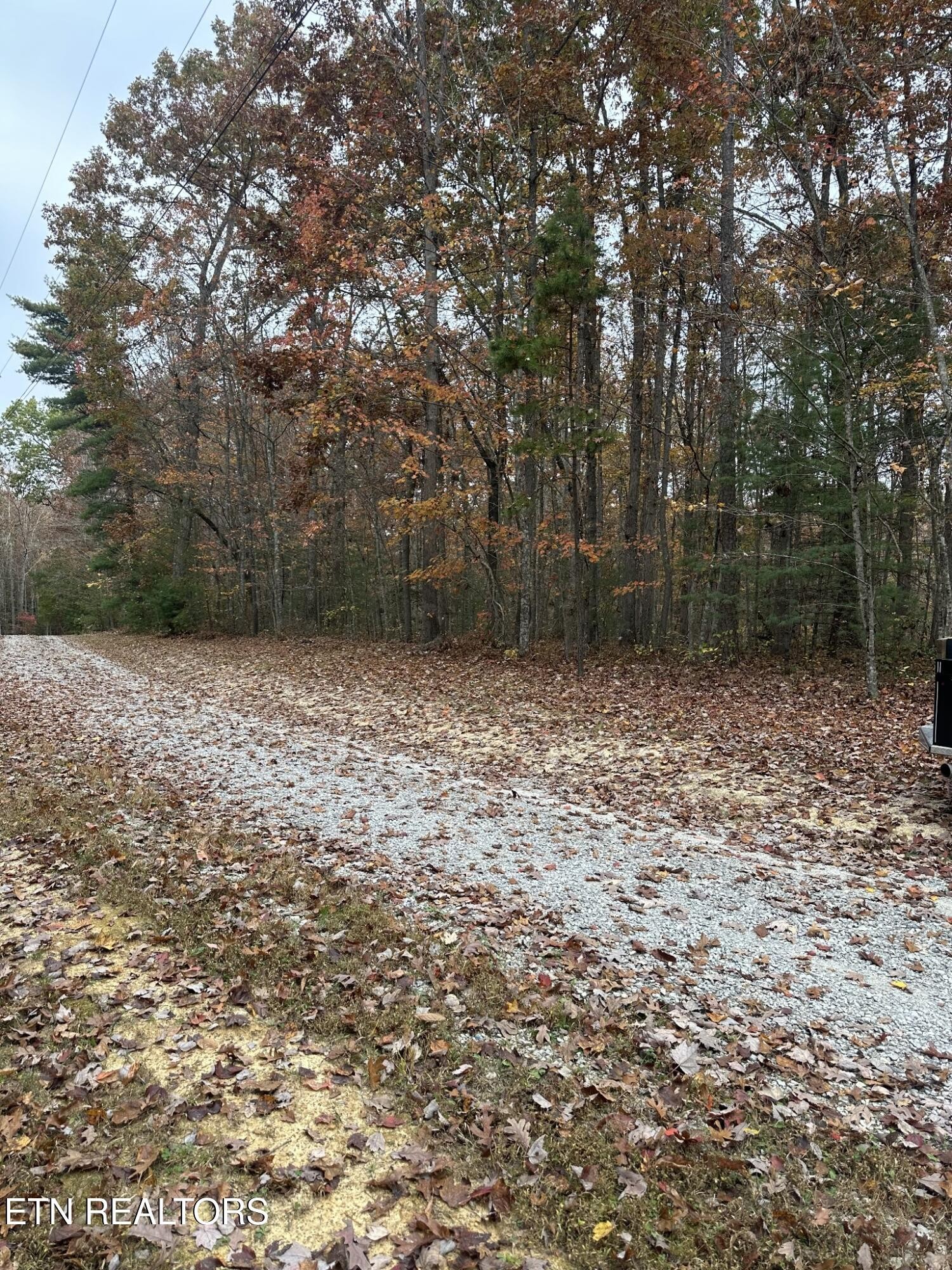 6 Wilderness Trail Oneida, TN 37841 - Photo 5 of 17