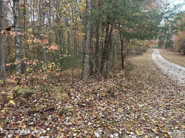 a big yard with lots of green space
