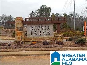 5233 Meadow Ridge Trail Bessemer, AL 35022 - Photo 7 of 9