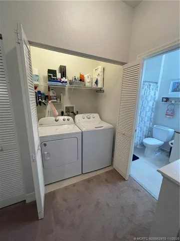 a view of a yard with plants and trees