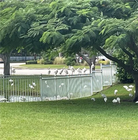 a view of a bench in the garden near a lake