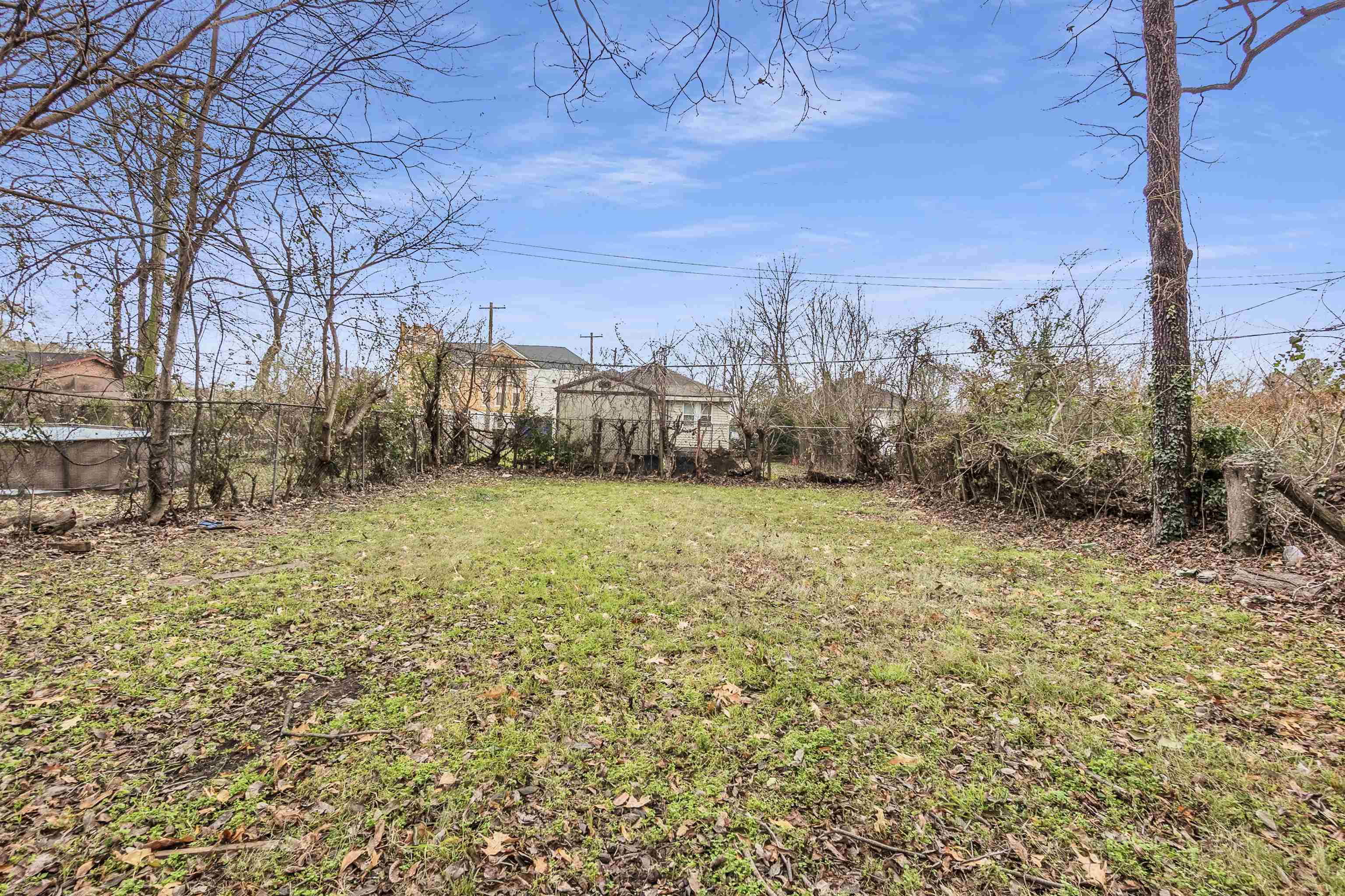 689 Baltimore Street Memphis, TN 38114 - Photo 3 of 14 a view of a yard with an trees