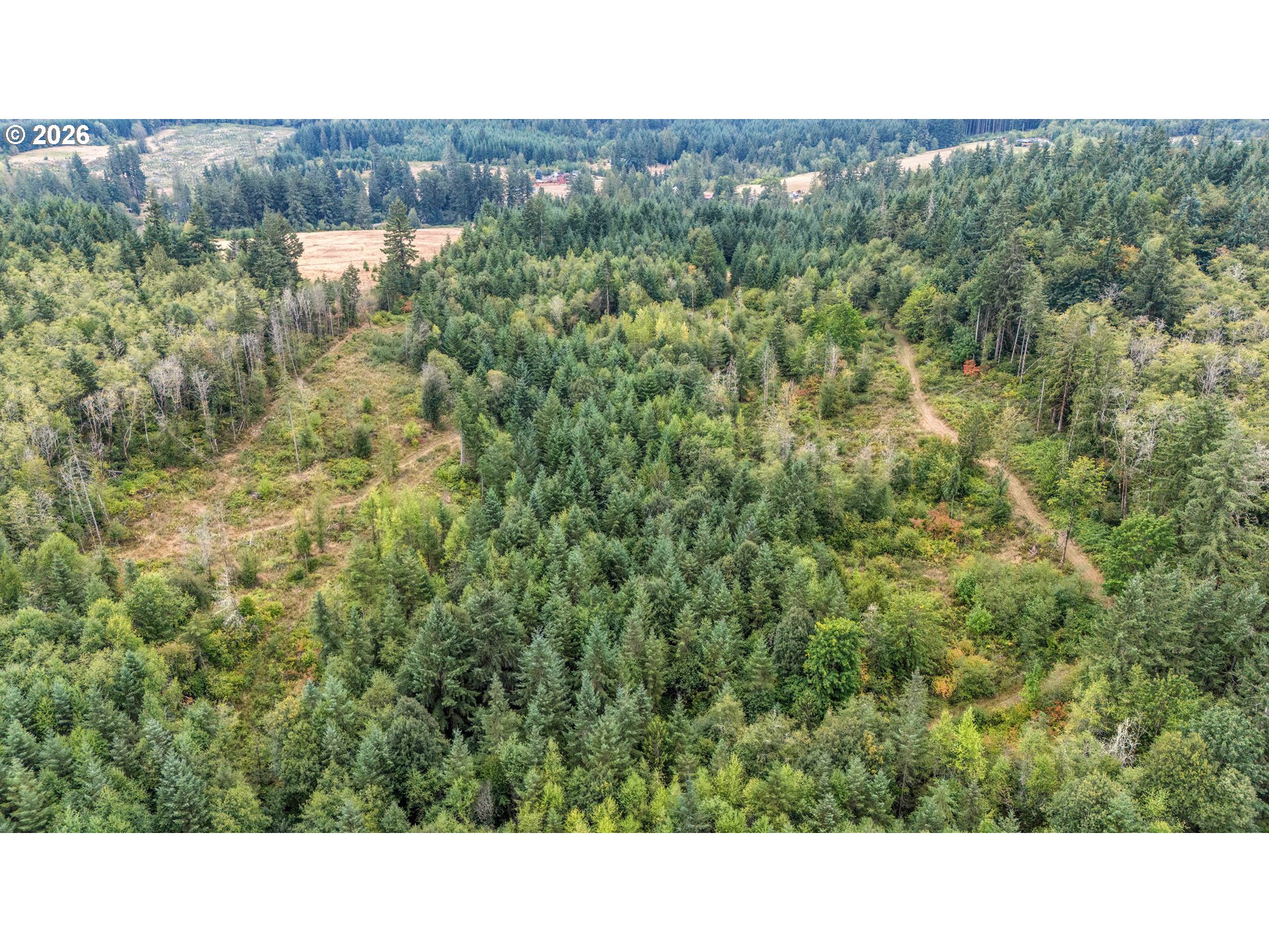 31431 Fairview Road Rainier, OR 97048 - Photo 44 of 44