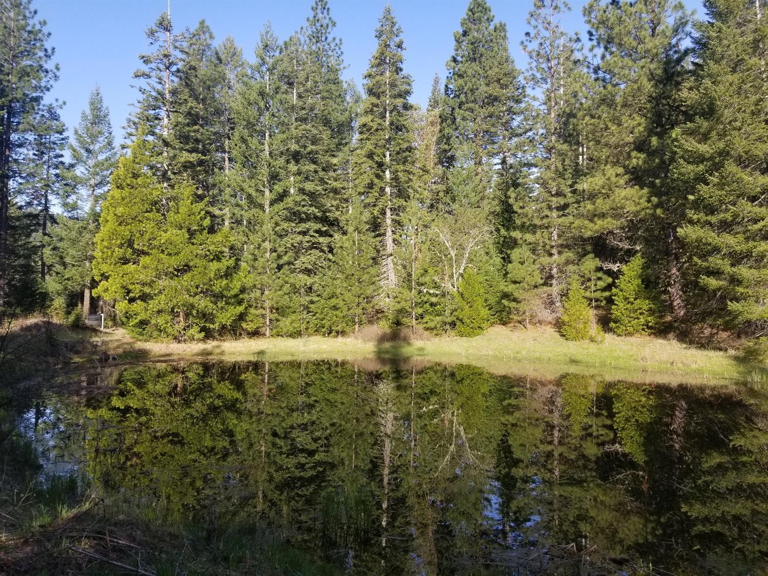 16079 East Antelope Road Eagle Point, OR 97524 - Photo 2 of 34 Additional Photo
