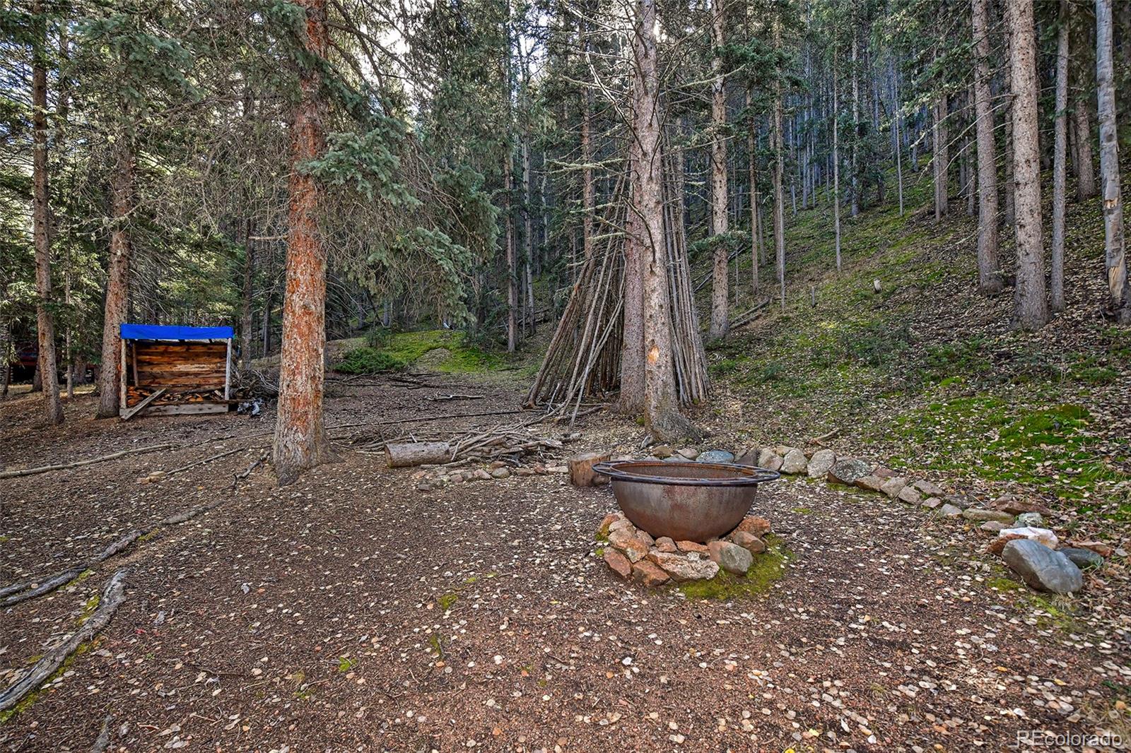 104 Usfs Divide, Unit 383 Divide, CO 80814 - Photo 17 of 41 a lake view with a sitting space and a fountain