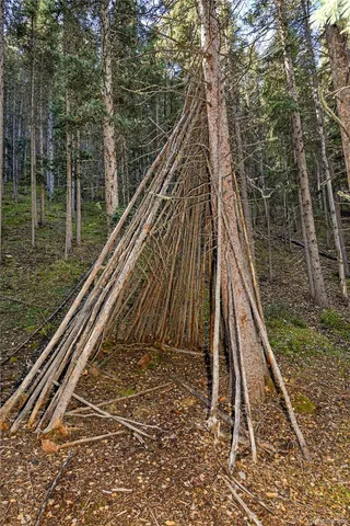 a view of a wooden floor