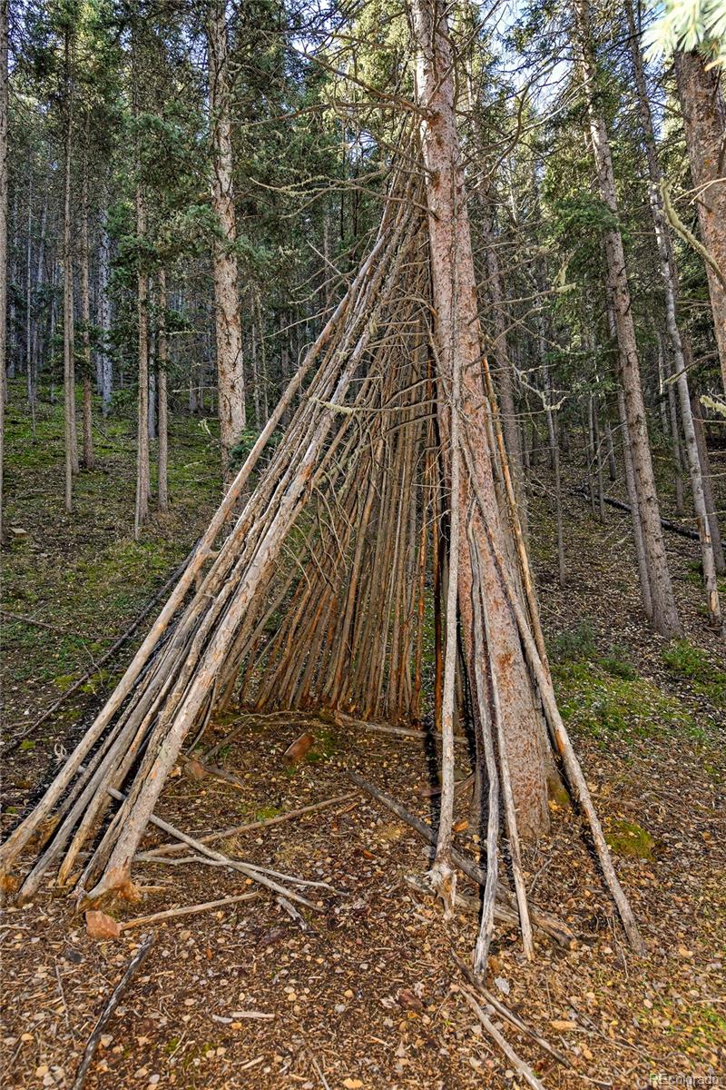 104 Usfs Divide, Unit 383 Divide, CO 80814 - Photo 19 of 41 a view of a wooden floor