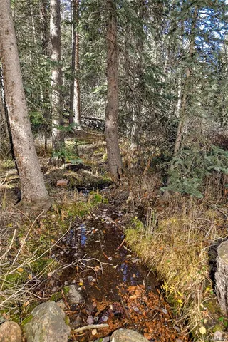 a view of outdoor space and a yard