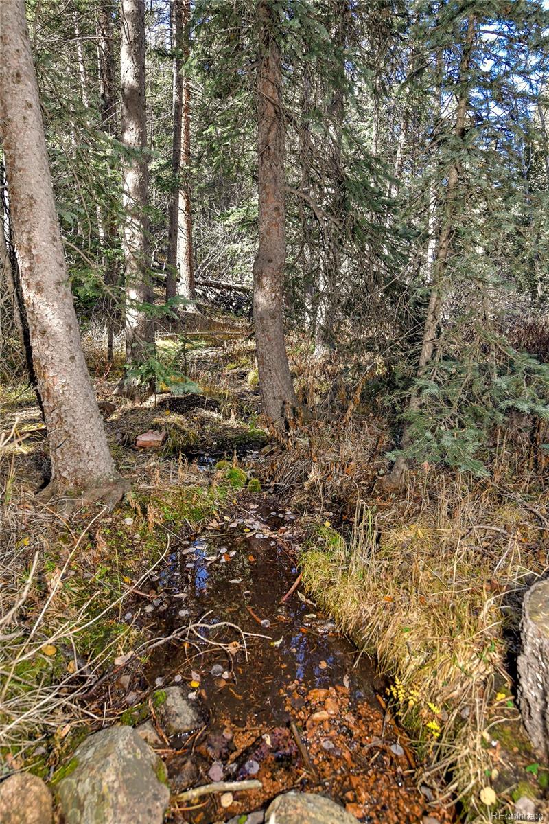 104 Usfs Divide, Unit 383 Divide, CO 80814 - Photo 23 of 41 a view of outdoor space and a yard