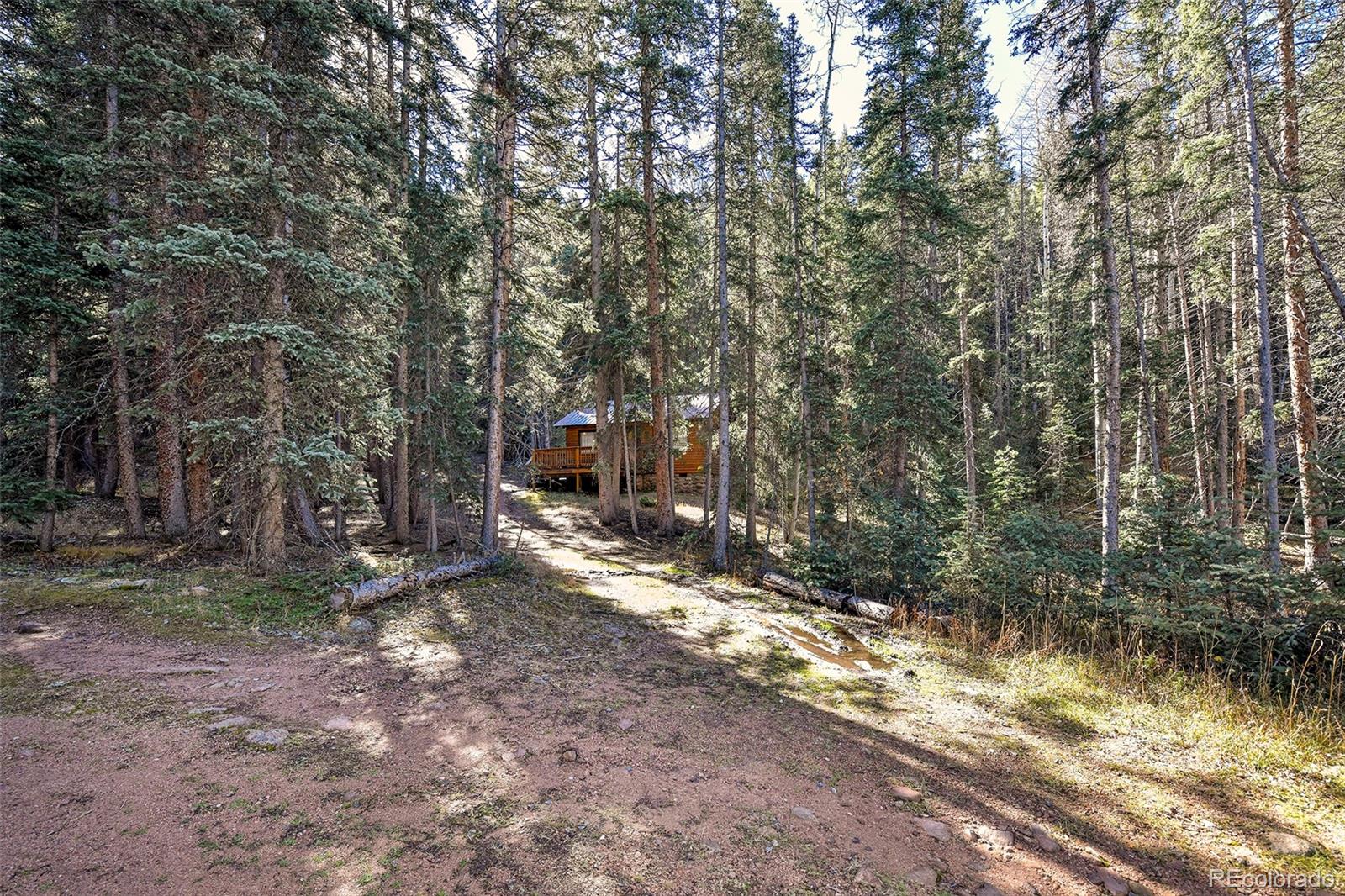 104 Usfs Divide, Unit 383 Divide, CO 80814 - Photo 25 of 41 a view of a forest with trees in the background