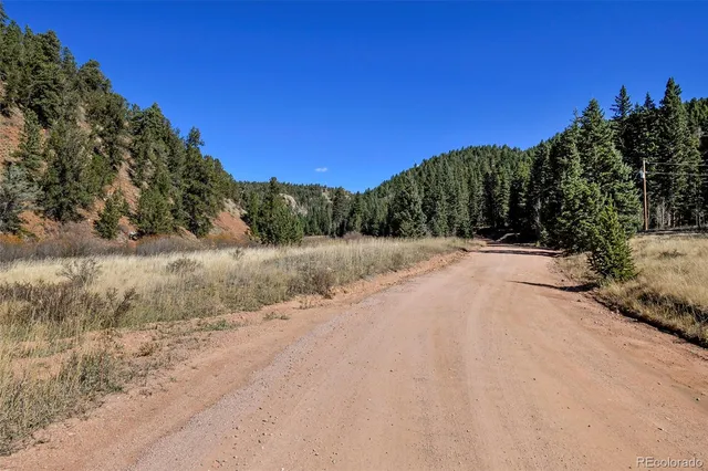 a view of a dry yard with trees