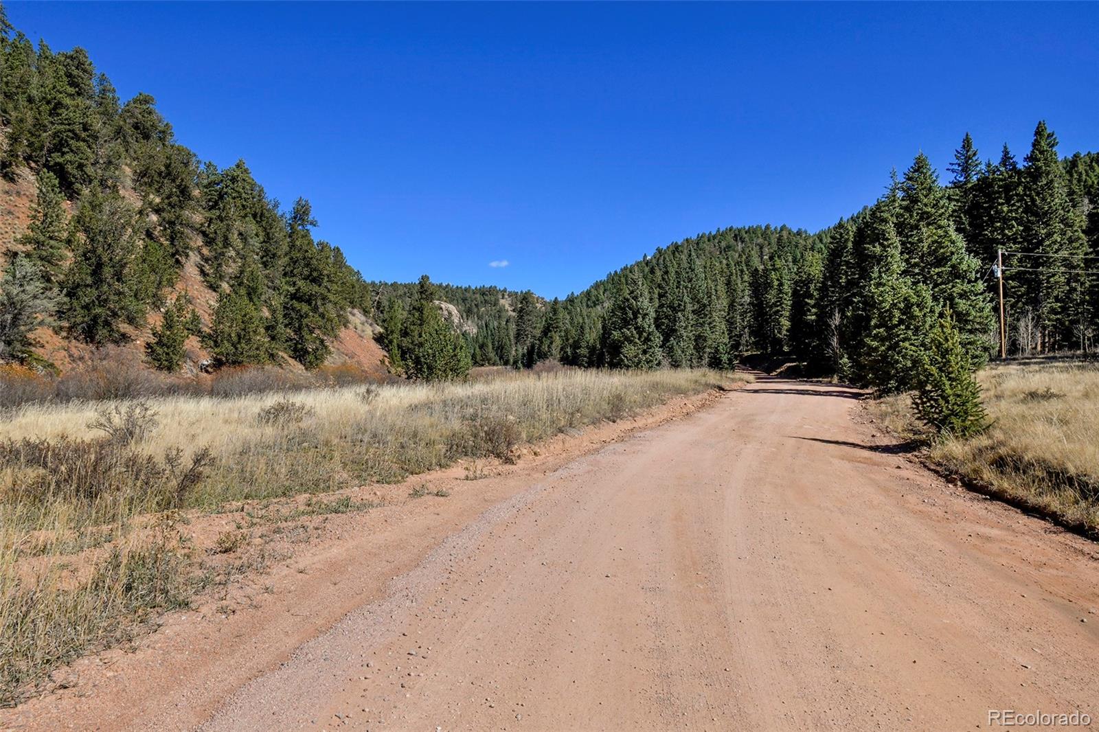 104 Usfs Divide, Unit 383 Divide, CO 80814 - Photo 29 of 41 a view of a dry yard with trees