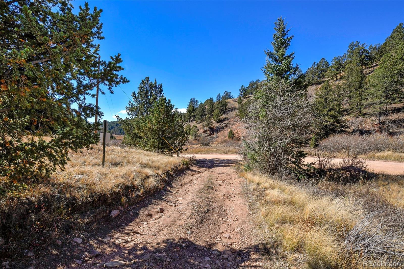 104 Usfs Divide, Unit 383 Divide, CO 80814 - Photo 32 of 41 a view of a forest with trees in the background