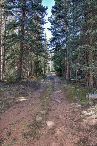 a view of outdoor space with trees