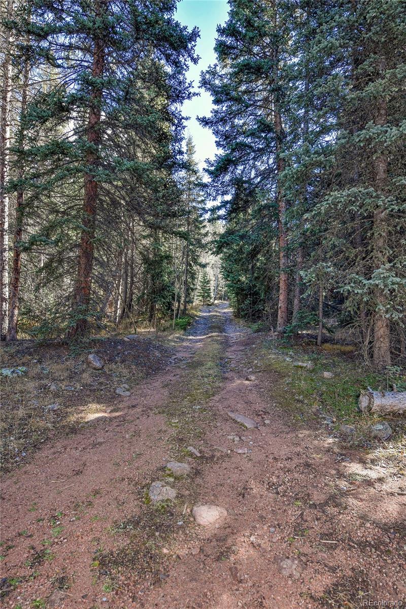 104 Usfs Divide, Unit 383 Divide, CO 80814 - Photo 35 of 41 a view of outdoor space with trees