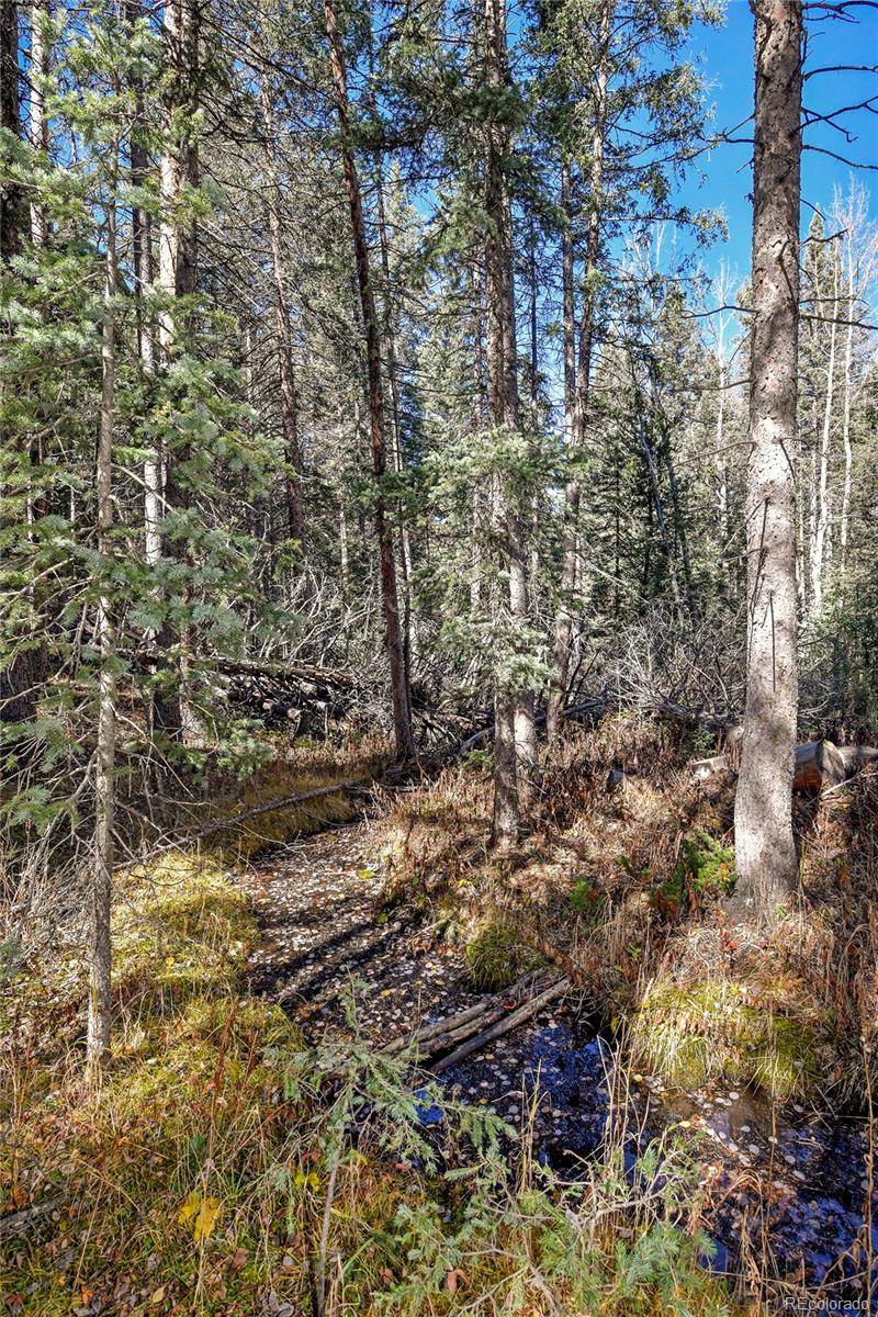 104 Usfs Divide, Unit 383 Divide, CO 80814 - Photo 36 of 41