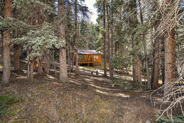 a backyard of a house with trees
