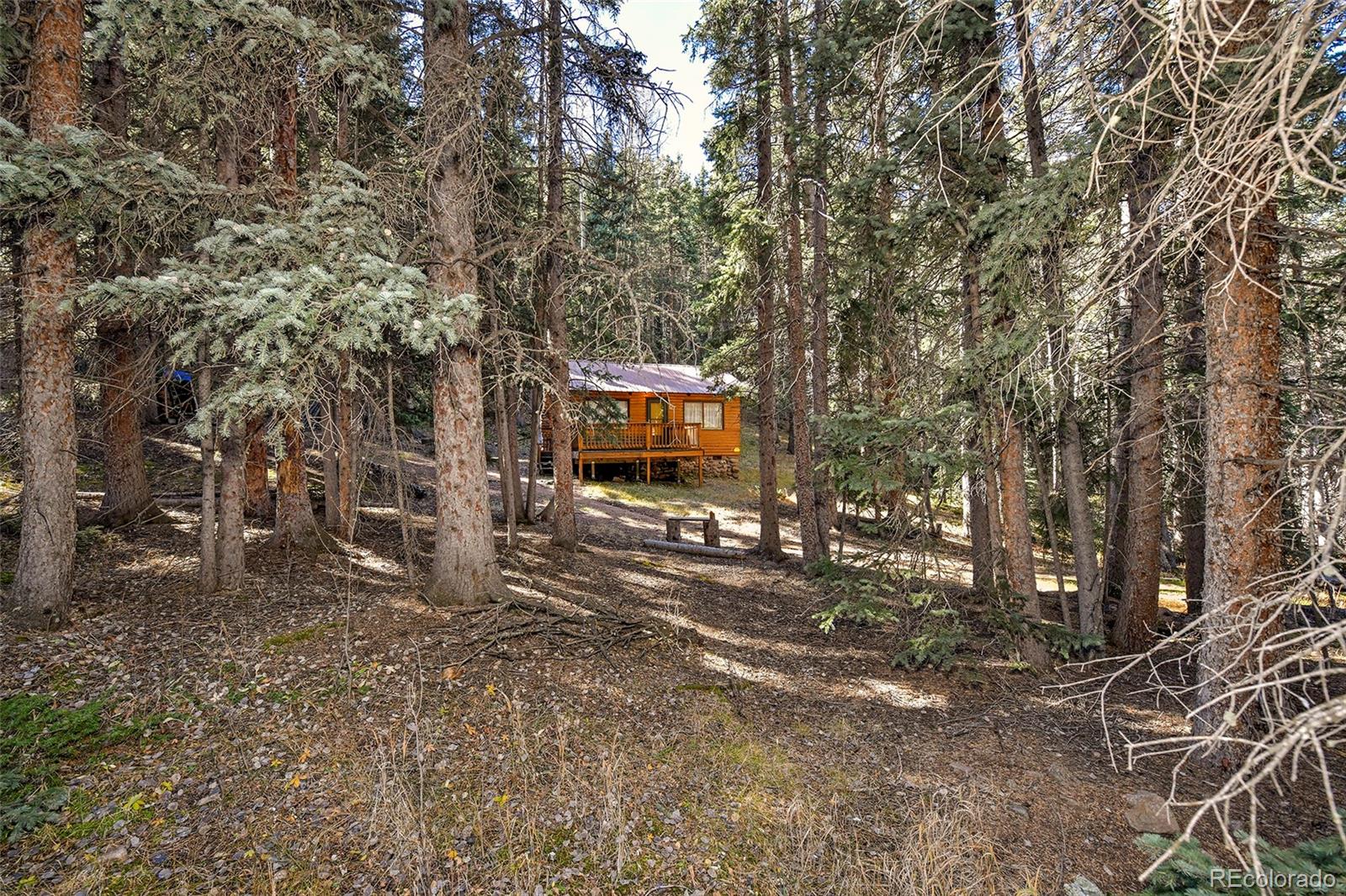 104 Usfs Divide, Unit 383 Divide, CO 80814 - Photo 37 of 41 a view of a house with a tree