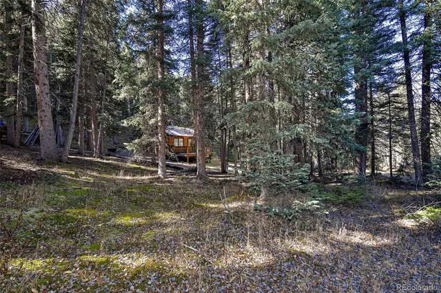 a view of a wooden fence