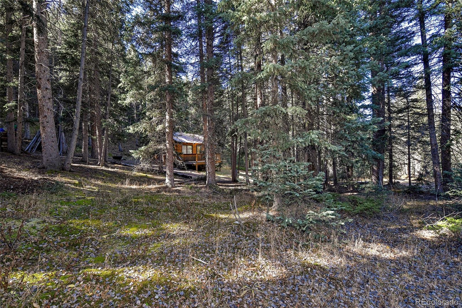 104 Usfs Divide, Unit 383 Divide, CO 80814 - Photo 38 of 41 a backyard of a house with trees