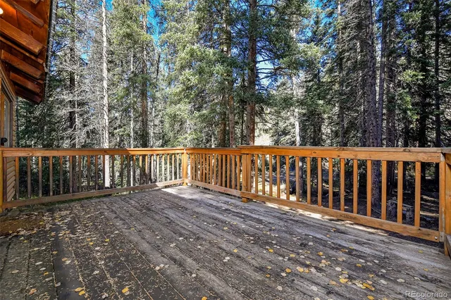 a view of a bench in the garden