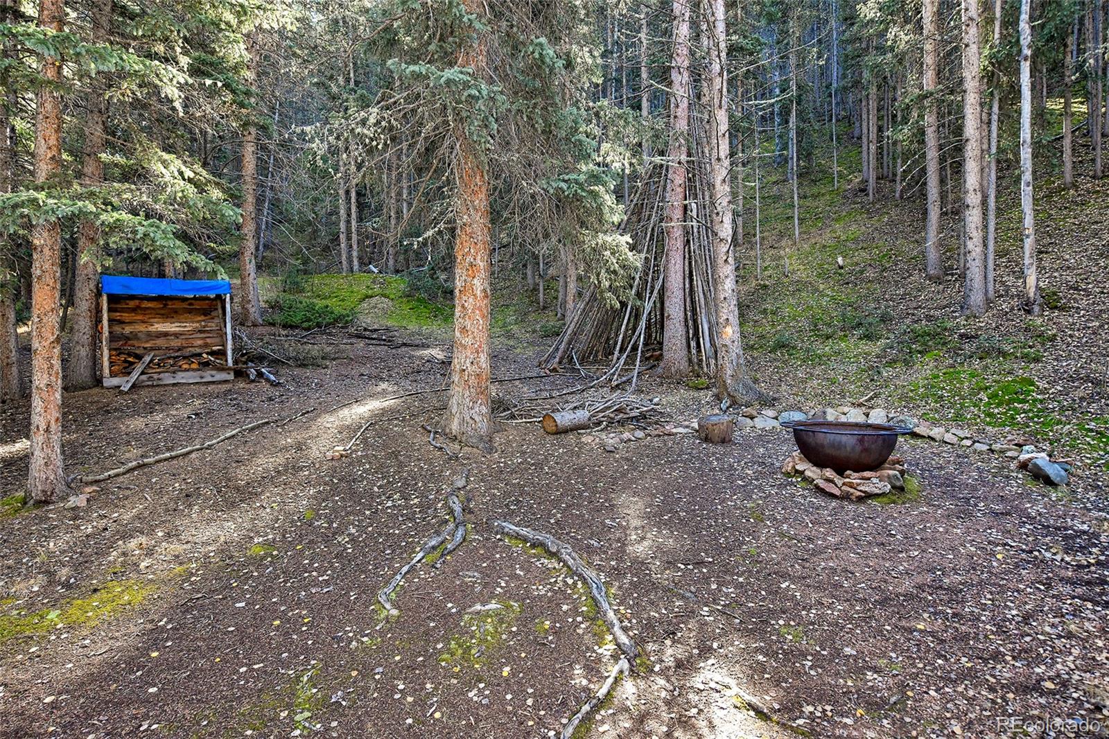 104 Usfs Divide, Unit 383 Divide, CO 80814 - Photo 40 of 41 a view of a bench in the garden